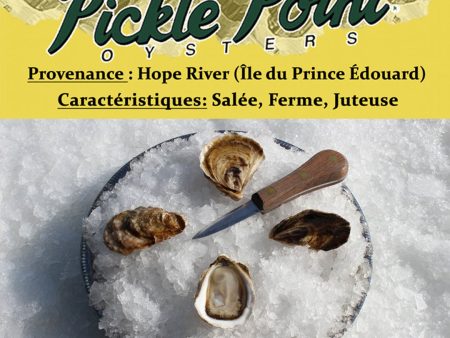 Huîtres Pickle Point de l Île du Prince-Édouard For Sale