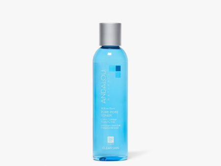 Lotion tonique pores purifiés - Clear Skin - Andalou Naturals Online Hot Sale