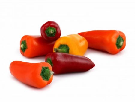 Poivrons (sucre piment) - NatureFresh Farms Hot on Sale