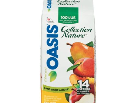 Jus collection nature Oasis Smoothies fruit du verger - Oasis Fashion