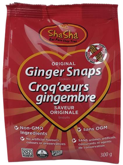 Biscuits au gingembre - Shasha Hot on Sale