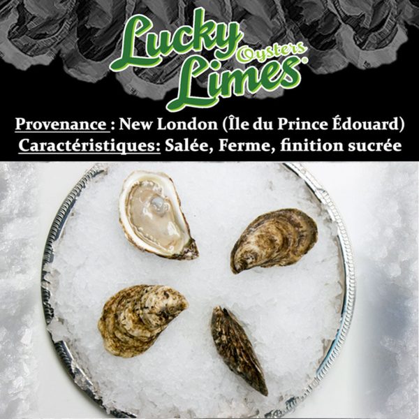 Huîtres Lucky Lime de l Île du Prince-Édouard Online