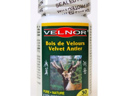 Bois de velours - Velnor on Sale