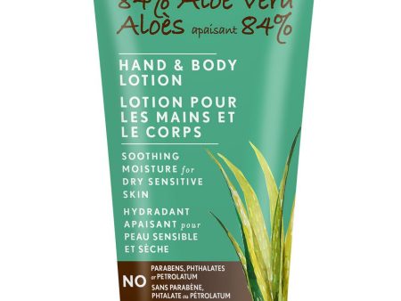 Lotion pour les mains et le corps - Jason Online