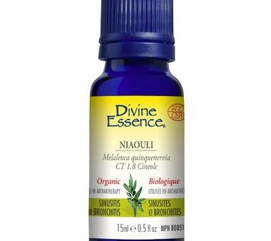 Divine essence, extrait d huile essentielle niaouli sauvage bio - Divine essence on Sale