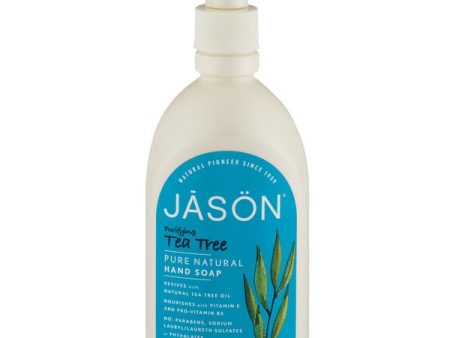 Savon pour les mains au théier - Jason Hot on Sale