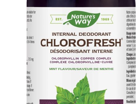 Chlorofresh Désodorisant interne - Saveur de menthe - Nature s Way Online Hot Sale