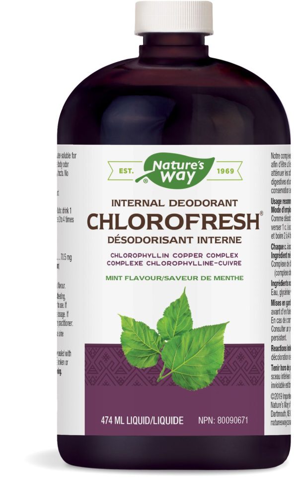 Chlorofresh Désodorisant interne - Saveur de menthe - Nature s Way Online Hot Sale