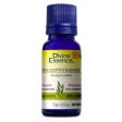 Divine essence, extrait d huile essentielle eucalyptus bio - Divine essence Online Sale