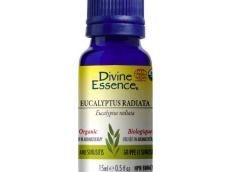 Divine essence, extrait d huile essentielle eucalyptus bio - Divine essence Online Sale