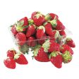 Fraise bio Online Hot Sale