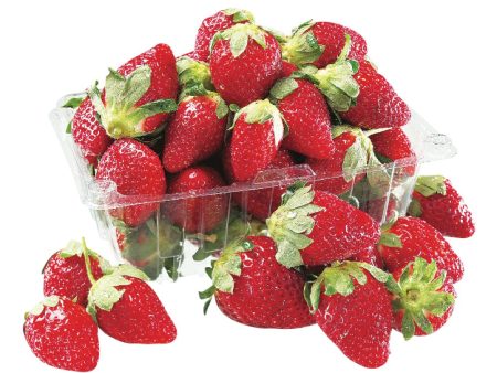 Fraise bio Online Hot Sale