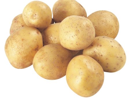 Pommes de terre blanches en vrac Sale