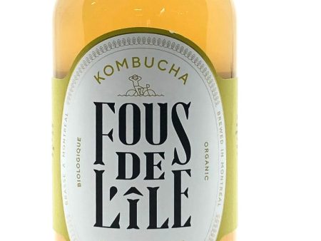 Kombucha gingembre - Fous de L île For Discount