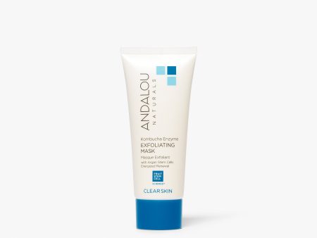 Masque exfoliant aux enzymes - Clear Skin - Andalou Naturals Supply