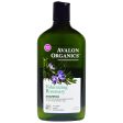 Conditionneur volumisant au romarin - Avalon organics Fashion