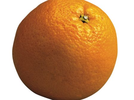 Orange navel sans pépins Online Sale