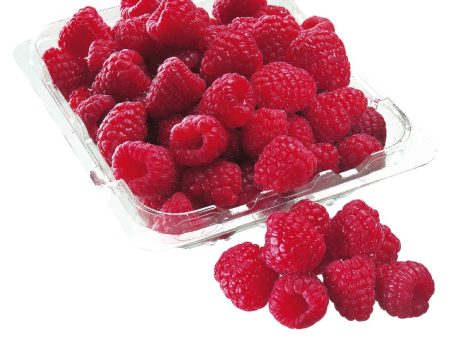 Framboises rouges For Discount