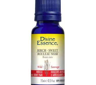 Divine essence, extrait d huile essentielle bouleau noir sauvage bio - Divine essence Sale