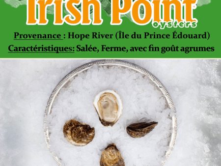 Huîtres Irish Point de l Île du Prince-Édouard Online now