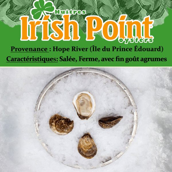 Huîtres Irish Point de l Île du Prince-Édouard Online now