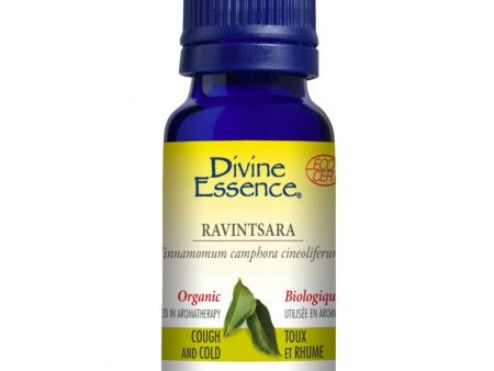 Divine essence, extrait d huile essentielle ravintsara  bio - Divine essence Online Hot Sale