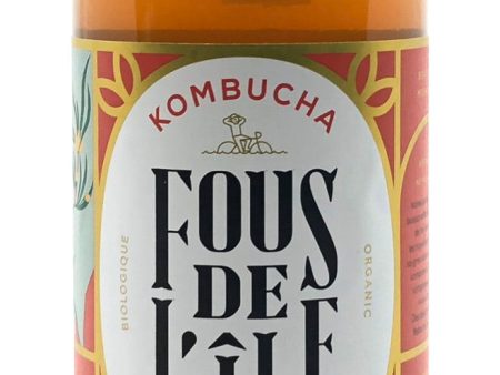 Kombucha roibos épicé - Fous de L île Online now