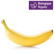 Bananes Bio Online Hot Sale