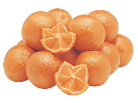 Orange navel Fashion