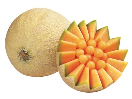 Cantaloup gros Hot on Sale