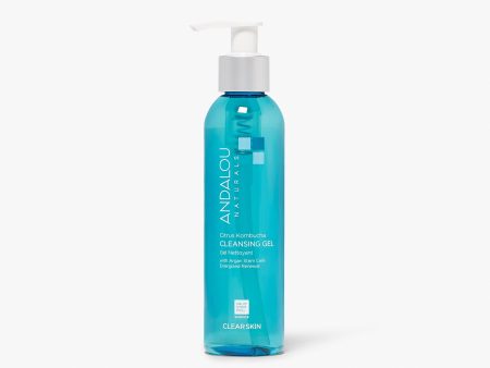 Gel nettoyant - Clear Skin - Andalou Naturals Online