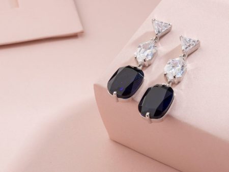 Contemporary Black earrings (Silver) Online