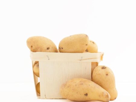 Pomme de terre fingerling Online