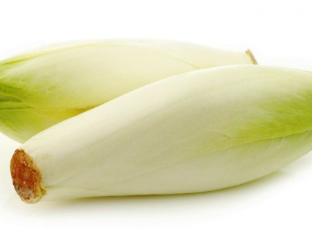 Endive Online Hot Sale