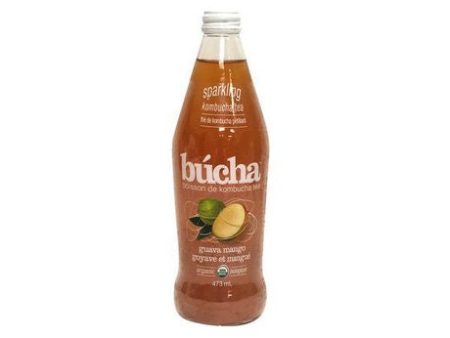 boisson au thé de Kombucha à la goyave et à la mangue - Bùcha Hot on Sale