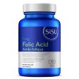 1 mg Acide Folique - Sisu Online now